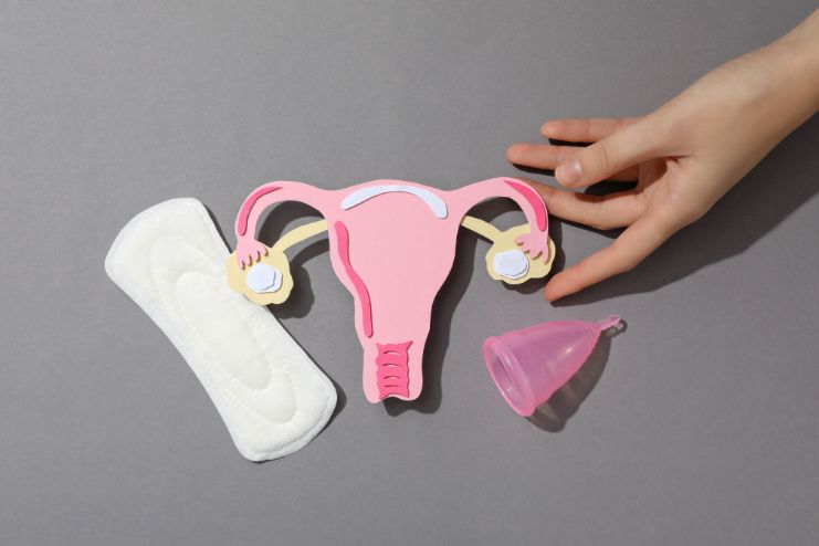 Holistic Vaginal and Gut Microbiome Health