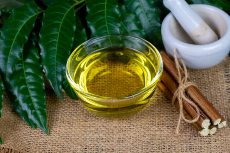 Home Remedies To Manage Scabies Symptoms