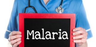 What to Eat (and Avoid) During Malaria Recovery Malaria Recovery