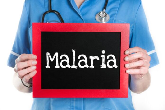 Malaria Recovery