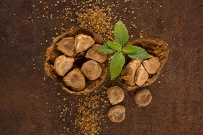 Monk Fruit the Healthiest Sugar Substitute Monk Fruit the Healthiest Sugar Substitute