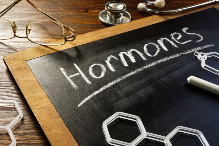 Myth vs. Fact_ What Lifting Does to Your Hormones