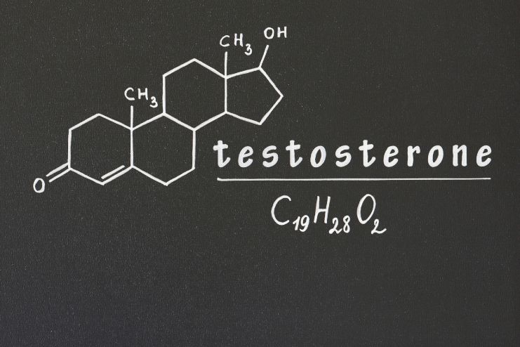 Why Testosterone Matters
