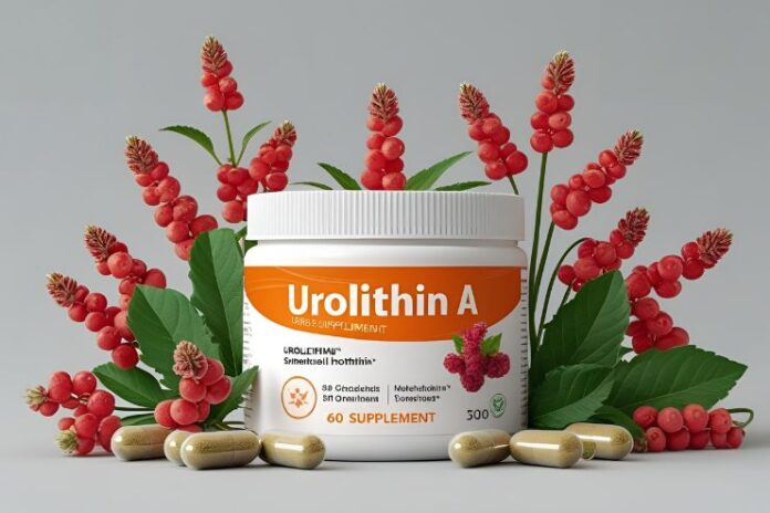 Best Urolithin A Supplements for Mitochondrial Health in 2025