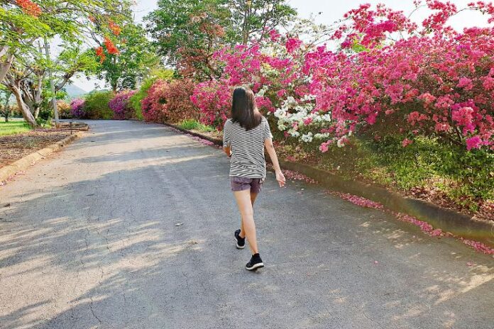 Dont Skip That Morning Walk