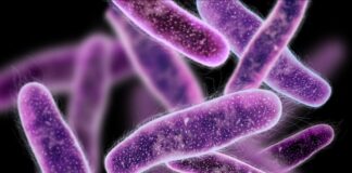 Effective Ways to Treat Bacterial Illnesses: What You Should Know Effective Ways to Treat Bacterial Illnesses