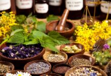 Herbal Medicine Cabinet: Must-Have Remedies for Everyday Ailments Herbal Medicine Cabinet