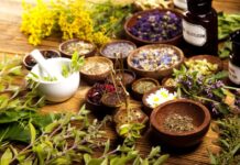 Herbal Remedies for Modern Woes: Nature’s Solutions for Everyday Ailments Herbal Remedies for Modern Woes