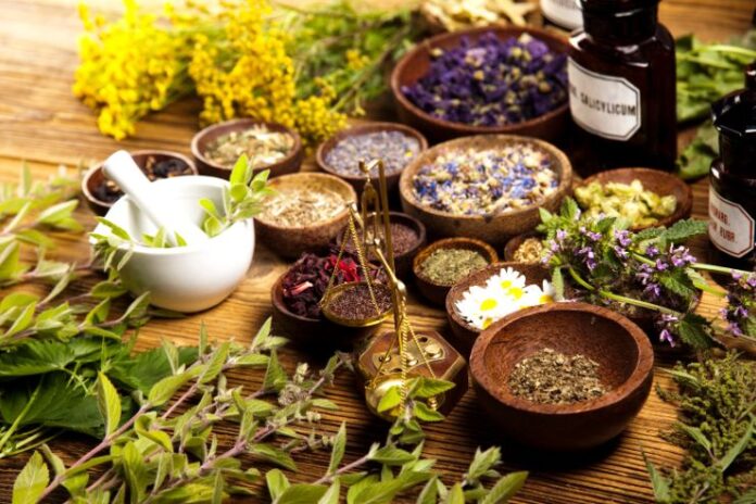Herbal Remedies for Modern Woes