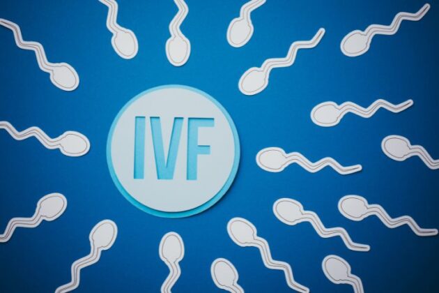 How to Thicken Uterine Lining in 48 Hours: Fertility-Safe Tips Backed