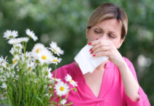 Can Hay Fever Make You Dizzy? Surprising Symptoms of Seasonal Allergies Can Hay Fever Make You Dizzy
