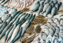 6 Types of Fish That Naturally Boost Your Vitamin D Levels 6 Types of Fish That Naturally Boost Your Vitamin D Levels