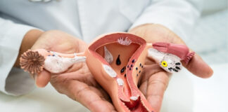 Cervical Mucus Changes Through Your Cycle (and What They Mean for Fertility) Cervical Mucus Changes Through Your Cycle