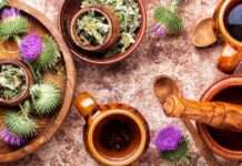 Milk Thistle Tea: Benefits, Side Effects, and How to Brew It Safely Milk Thistle Tea Benefits Side Effects
