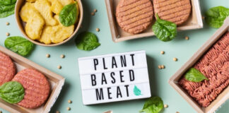 Plant-Based Meat Alternatives: Healthier or Just Hype? Plant-Based Meat Alternatives Healthier or Just Hype