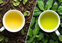 White Tea vs. Green Tea: Which One Should You Choose? White Tea vs Green Tea Which One Should You Choose