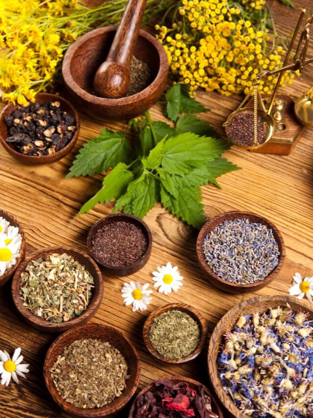 7 Herbal Remedies for Everyday Woes