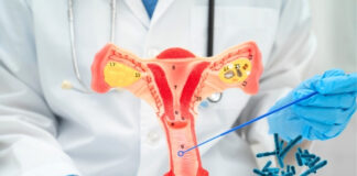 Best Probiotics for Vaginal Health: Strains, Benefits, and How to Choose the Right One Best Probiotics for Vaginal Health