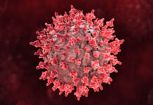 How Long Does HIV Live Outside the Body? What Science Really Says How Long Does HIV Live Outside the Body What Science Really Says