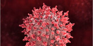 How Long Does HIV Live Outside the Body? What Science Really Says How Long Does HIV Live Outside the Body What Science Really Says