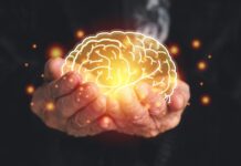 Vascular Dementia End-of-Life Symptoms: What to Expect and How to Provide Comfort Vascular Dementia End-of-Life Symptoms