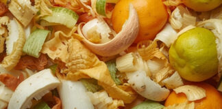 Waste Not, Want Not: Using Every Part of Your Produce for Better Nutrition Waste Not, Want Not