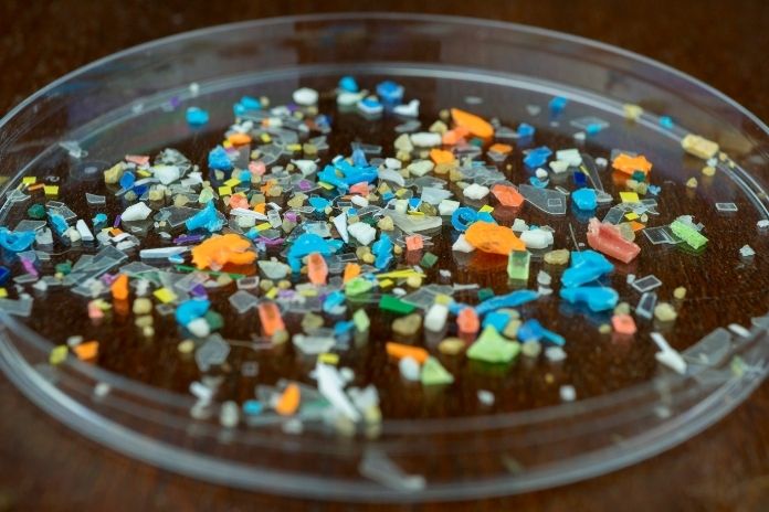 How Microplastics Get Into Your Body