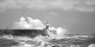 How to Prepare for Hurricane Season: A Complete Safety & Survival Guide How to Prepare for Hurricane Season