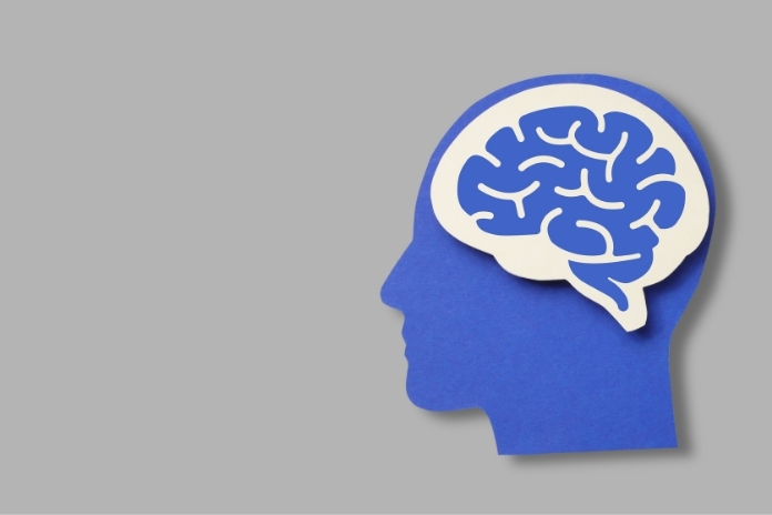 How to Keep Your Brain Sharp as You Age: Science-Backed Habits That Work How to Keep Your Brain Sharp as You Age