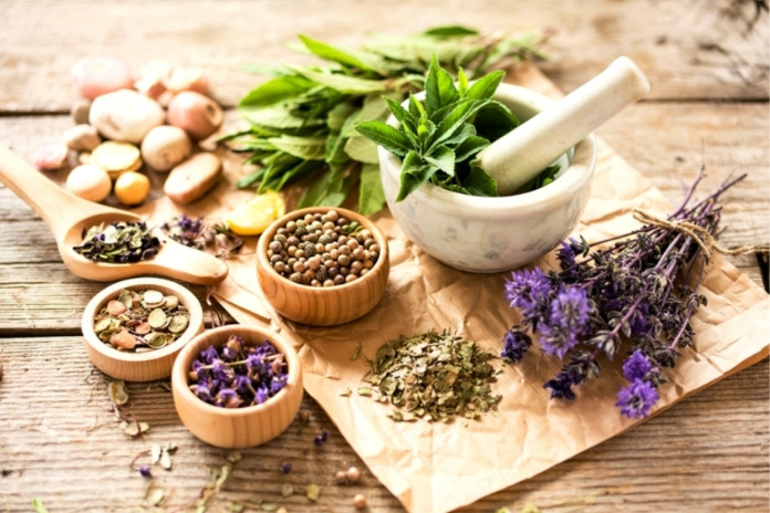 I Replaced My Morning Coffee with Herbal Tonics—My Hormones Thanked Me I Replaced My Morning Coffee with Herbal Tonics