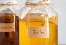 Jun Tea vs. Kombucha: Which Fermented Drink Is Better for a Sensitive Gut? Jun Tea vs. Kombucha