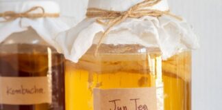 Jun Tea vs. Kombucha: Which Fermented Drink Is Better for a Sensitive Gut? Jun Tea vs. Kombucha