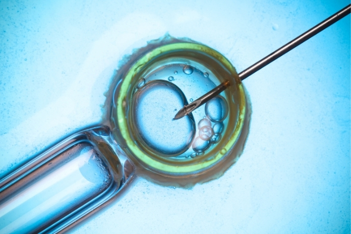 Trying IVF? How Fitness, Weight, and Daily Habits Can Influence Fertility and IVF Success Trying IVF