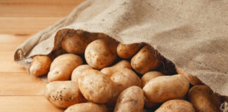 Beyond Potatoes: Why the New Dietary Guidelines Are Rethinking Corn and the ‘Starch-Heavy’ Plate Beyond Potatoes Why the New Dietary Guidelines Are Rethinking Corn