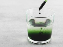 Chlorophyll Benefits: What Science Supports—and What’s Overstated Chlorophyll Benefits