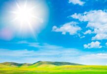 Higher Melanin, Higher Risk? Why Traditional Vitamin D Guidelines Fail People of Color in the Fight Against Respiratory Illness Higher Melanin, Higher Risk