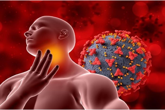 How Protein Choices Influence Inflammation