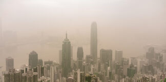 Living in a Smoggy City? Why Air Pollution is Secretly Tanking Your Vitamin D (And Your Lung Immunity) Living in a Smoggy City