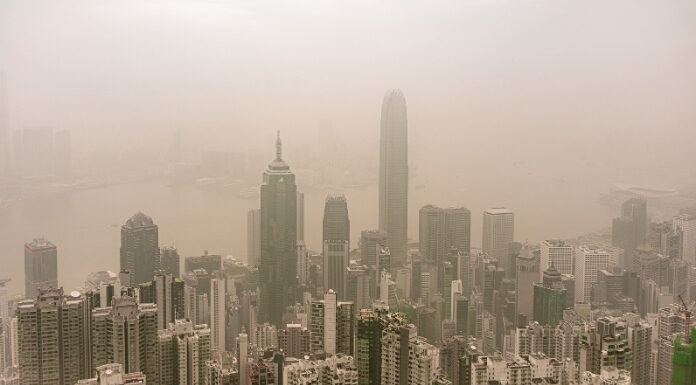 Living in a Smoggy City? Why Air Pollution is Secretly Tanking Your Vitamin D (And Your Lung Immunity) Living in a Smoggy City