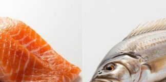 Salmon vs. Tilapia: Key Health Differences, Nutrition Facts, and Which One Is Better for You Salmon vs. Tilapia