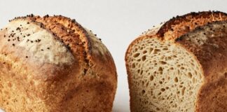 Sprouted vs. Whole Grain: Which Bread Actually Prevents the 2 PM Energy Crash? Sprouted vs Whole Grain
