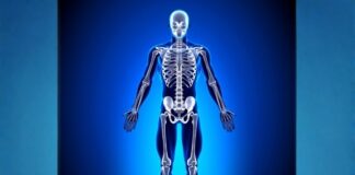 Stronger Bones Start at Lunch: The Hidden Power of Phosphorus and Protein Stronger Bones Start at Lunch