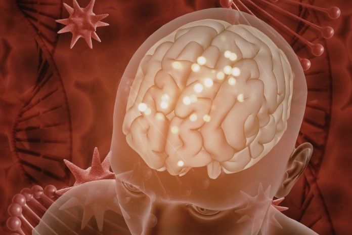 The Science-Backed Mechanisms Behind Olive Oils Stroke Protection