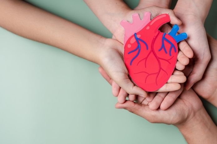 When Menopause Palpitations Signal a Heart Risk When Menopause Palpitations Signal a Heart Risk