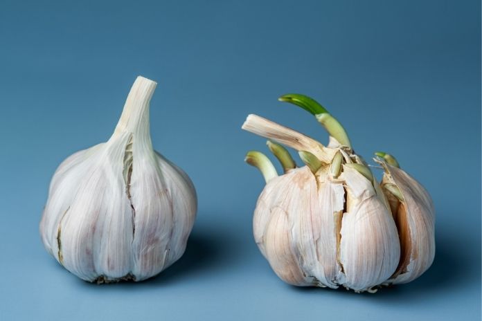 When You Should Throw Garlic Away