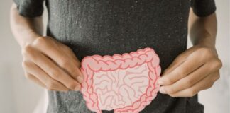 Beyond Yogurt: 5 Fermented Foods That Support Gut Health on a Dairy-Free Diet Beyond Yogurt