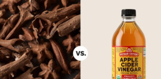 Clove Water vs. Apple Cider Vinegar: Which One Helps Control Post-Meal Blood Sugar? Clove Water vs Apple Cider Vinegar