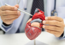 Exercise for Heart Failure Patients: What’s Safe and Effective Exercise for Heart Failure Patients What Safe and Effective