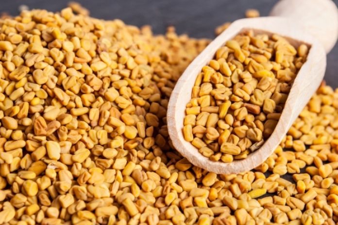 Fenugreek Seeds_ Traditional Fasting Sugar Support