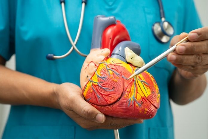 Heart Attack and Stroke Risk in the First Week